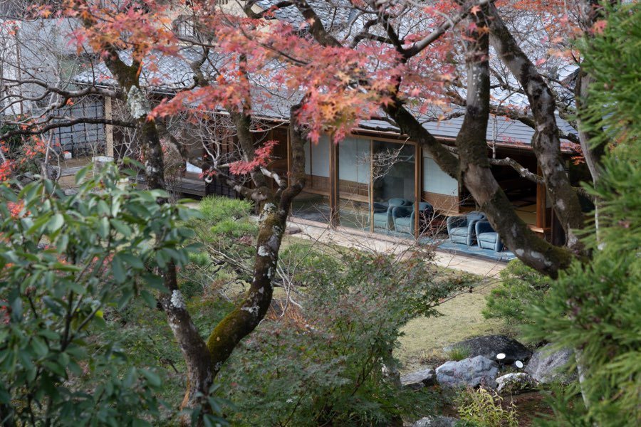 紅葉越しに見た看月亭。障子が開き、苔の庭に面している