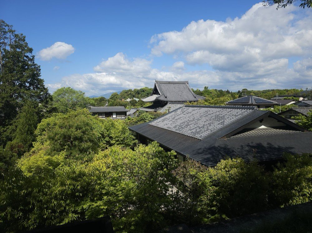 境内の瓦屋根と、その先の空。木立に囲まれている